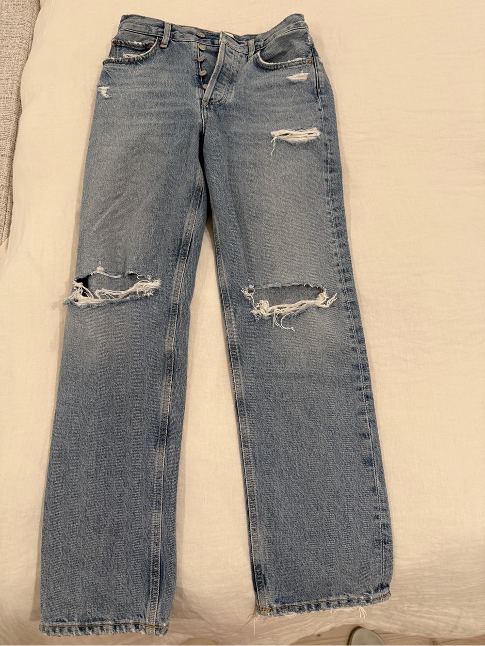Agolde ‘90s Straight Leg Jeans in Light Blue
